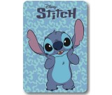 Stitch fliispleed
