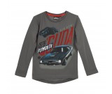 Fast & Furious pluus