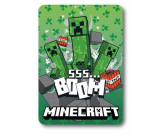 Minecraft fliispleed