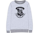 Harry Potter dressipluus